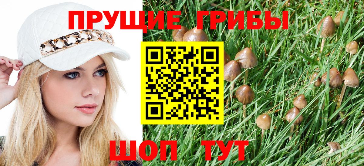 как найти закладки  Галлюциногенные грибы Cubensis  Вход с VPN  Ижевск 